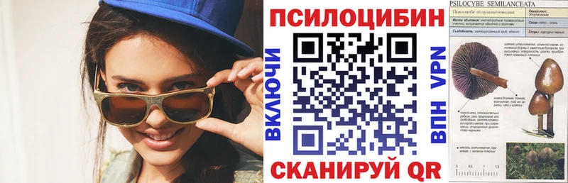 кракен онион  Иркутск  Галлюциногенные грибы мицелий 