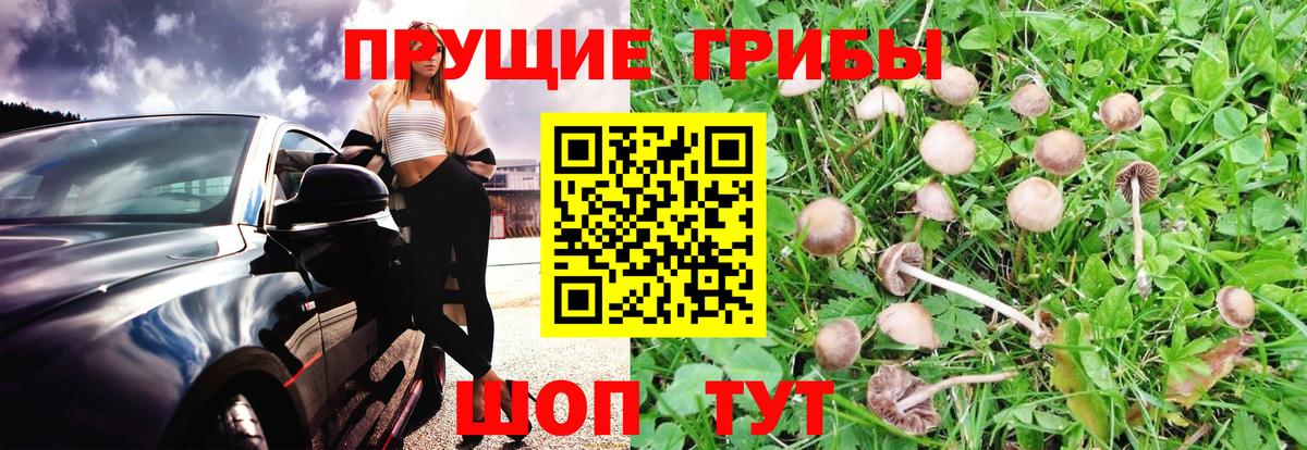 Галлюциногенные грибы прущие грибы Иркутск