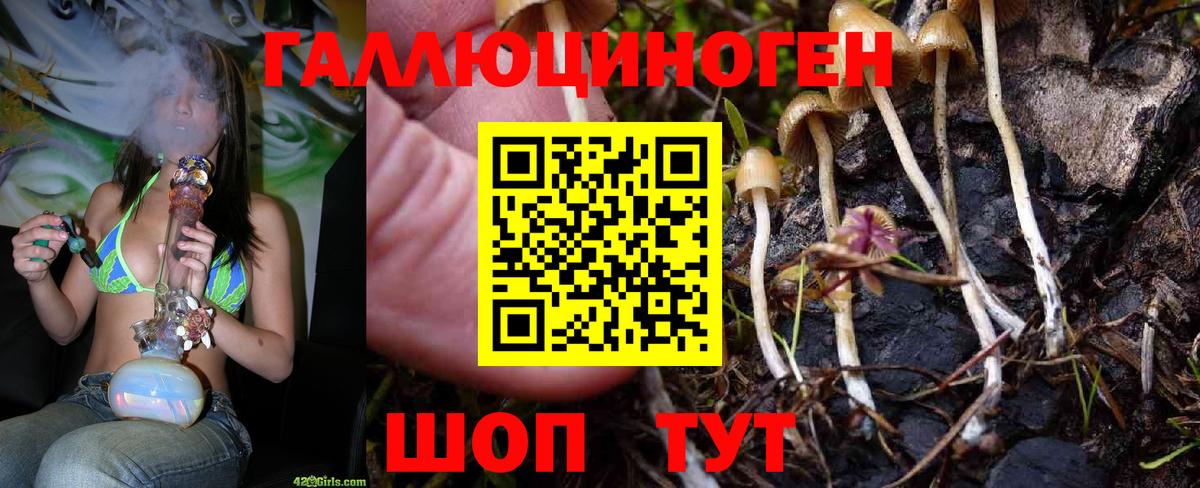 Псилоцибиновые грибы MAGIC MUSHROOMS  Вход с VPN  Иркутск 